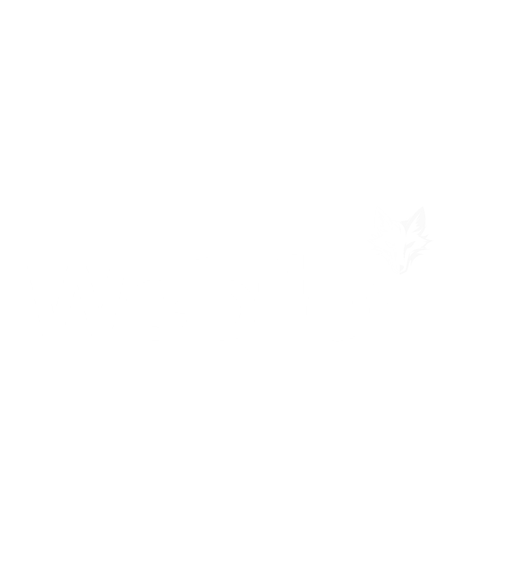 Webfox Logo
